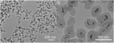 Thrombolysis Combined Therapy Using CuS@SiO2-PEG/uPA Nanoparticles